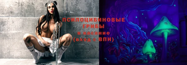тгк Майский