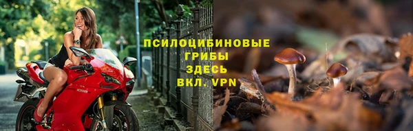 прущая мука Магадан