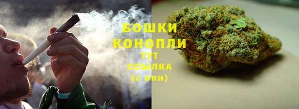 тгк Майский