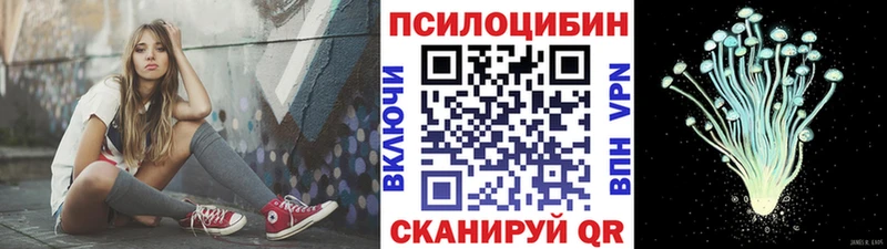 Галлюциногенные грибы Psilocybe  Купить где  Муравленко 